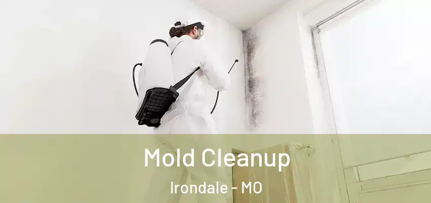  Mold Cleanup Irondale - MO