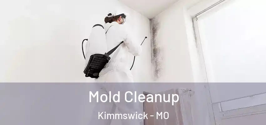 Mold Cleanup Kimmswick - MO