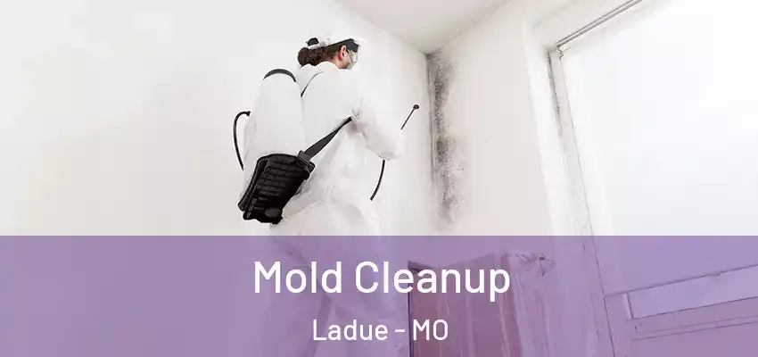  Mold Cleanup Ladue - MO