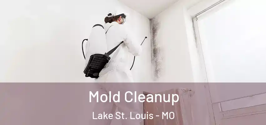  Mold Cleanup Lake St. Louis - MO