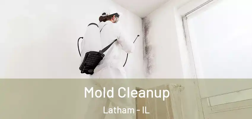Mold Cleanup Latham - IL