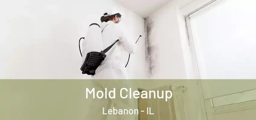  Mold Cleanup Lebanon - IL