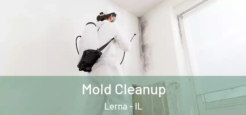 Mold Cleanup Lerna - IL