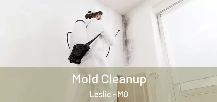  Mold Cleanup Leslie - MO