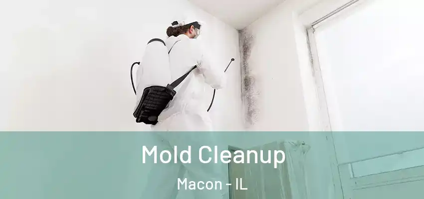  Mold Cleanup Macon - IL