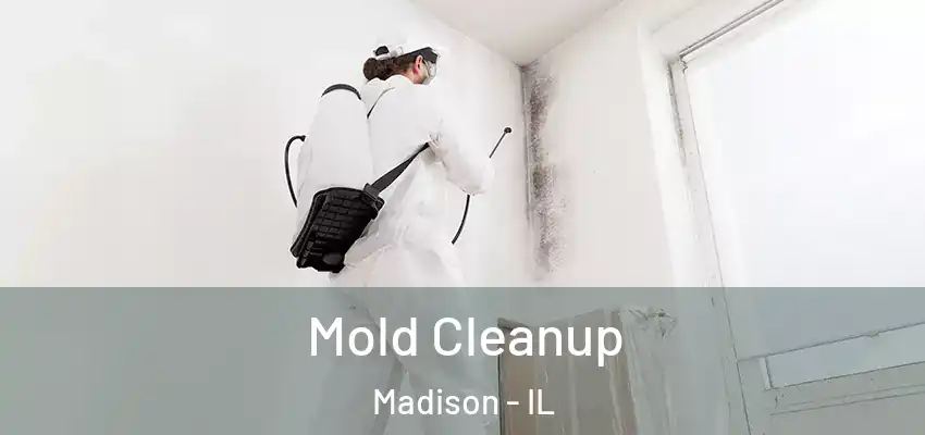  Mold Cleanup Madison - IL