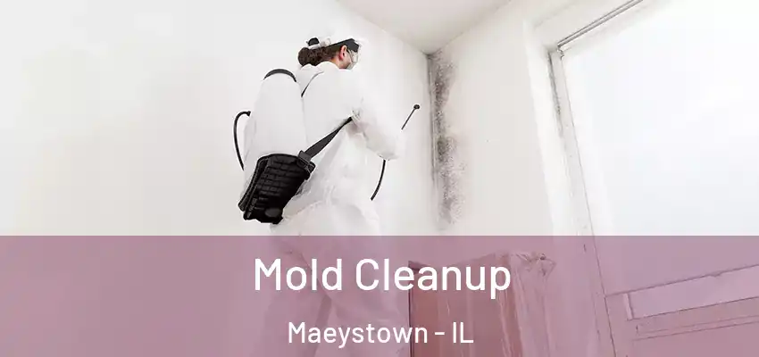  Mold Cleanup Maeystown - IL