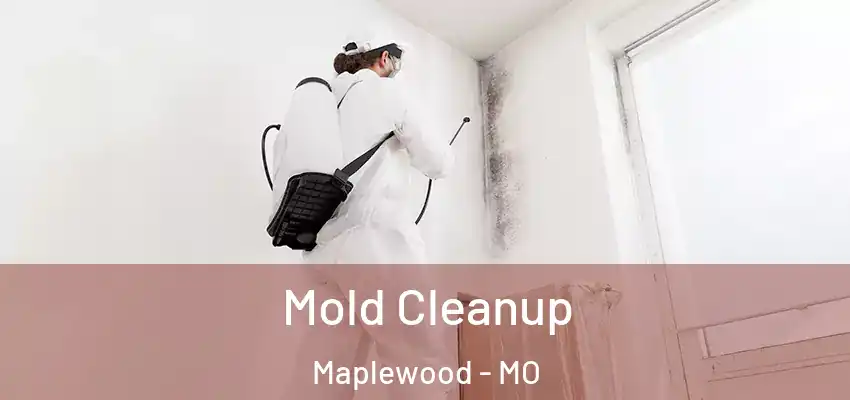  Mold Cleanup Maplewood - MO