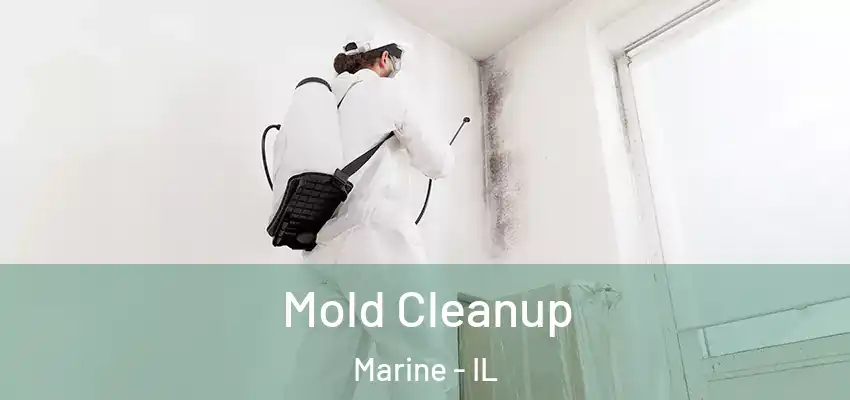  Mold Cleanup Marine - IL