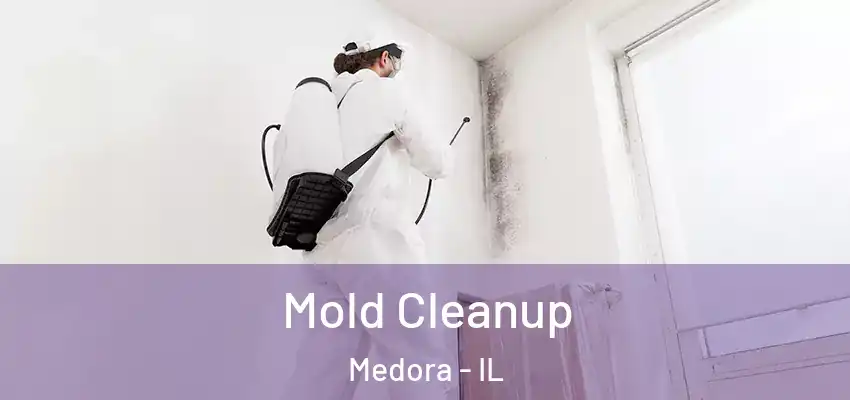  Mold Cleanup Medora - IL