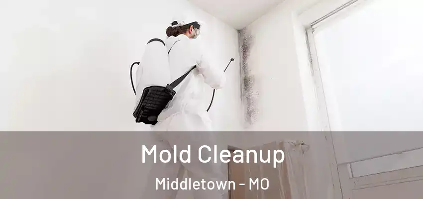  Mold Cleanup Middletown - MO