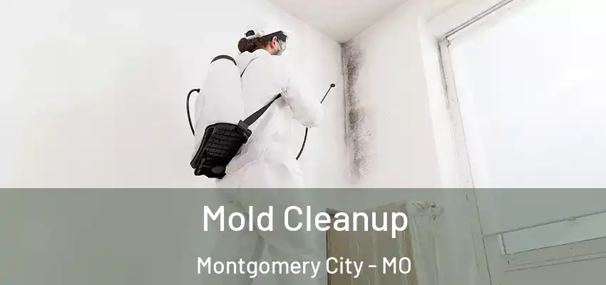  Mold Cleanup Montgomery City - MO