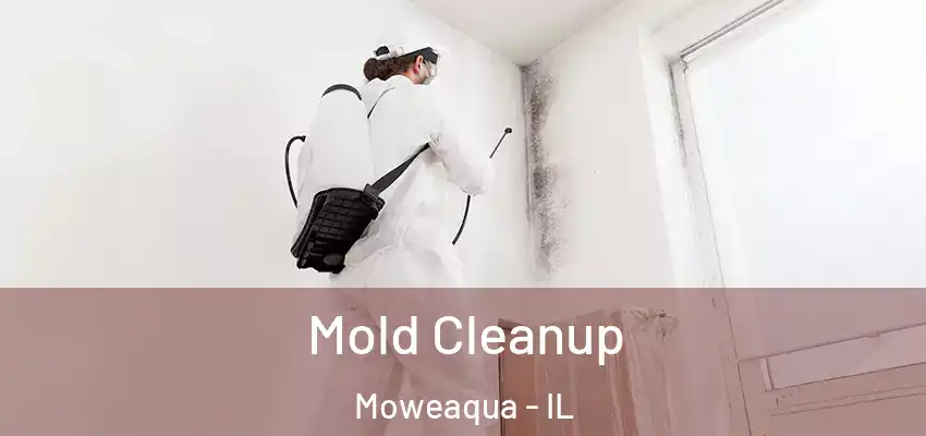  Mold Cleanup Moweaqua - IL