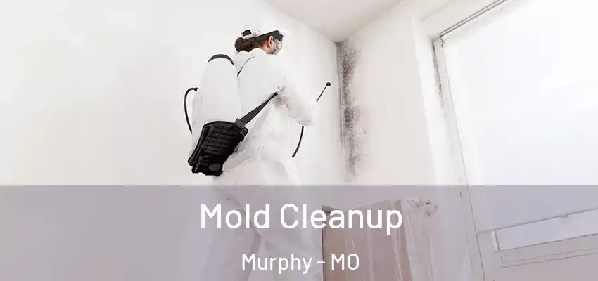 Mold Cleanup Murphy - MO