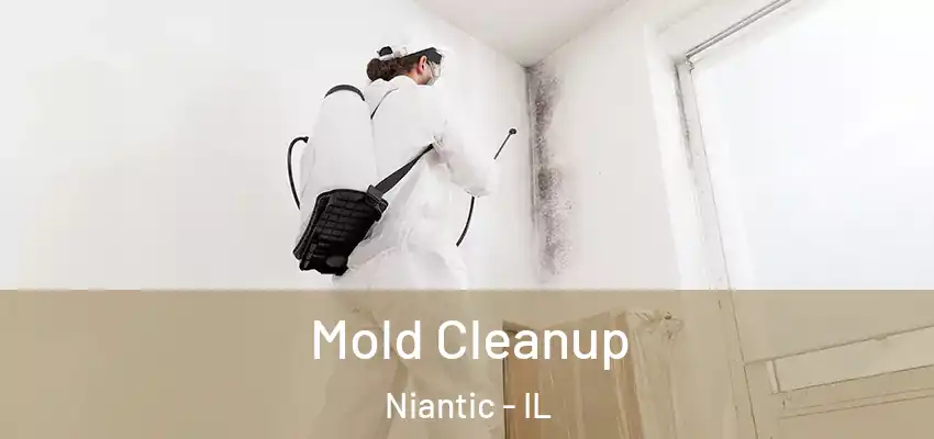  Mold Cleanup Niantic - IL