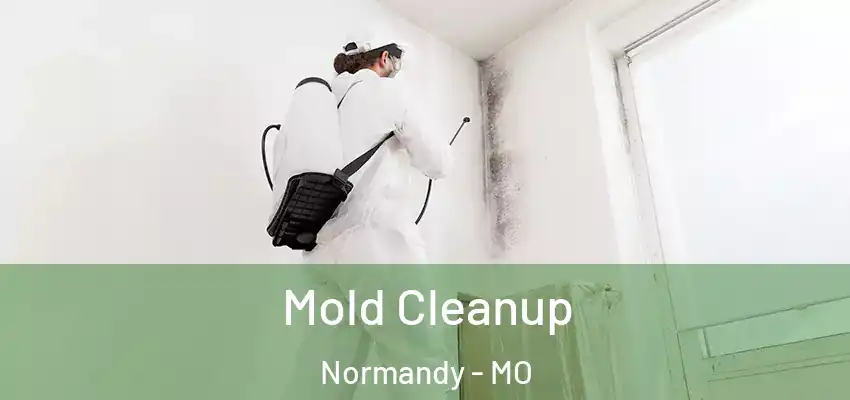 Mold Cleanup Normandy - MO