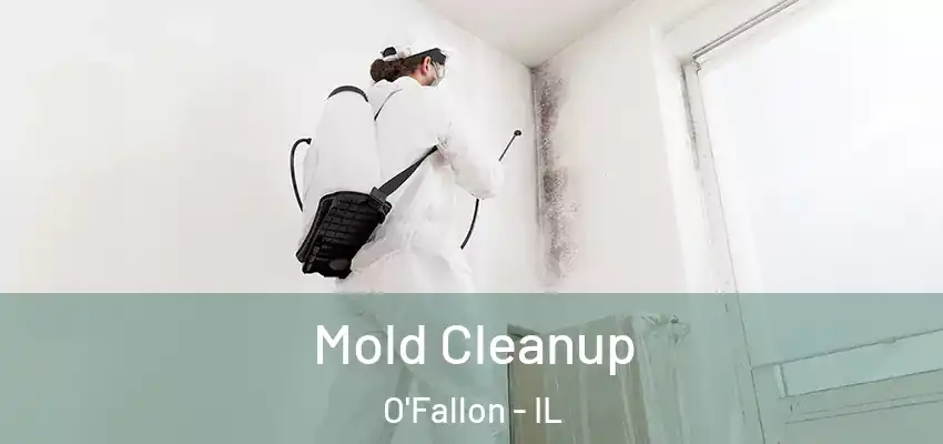  Mold Cleanup O'Fallon - IL