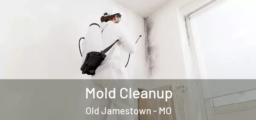 Mold Cleanup Old Jamestown - MO