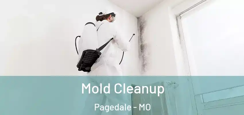 Mold Cleanup Pagedale - MO