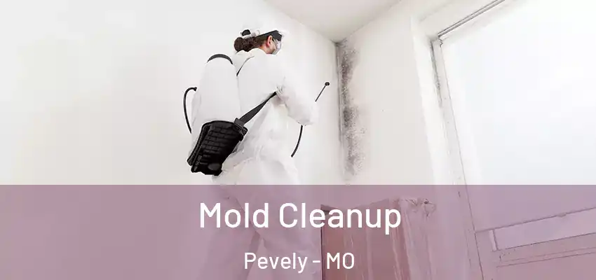  Mold Cleanup Pevely - MO