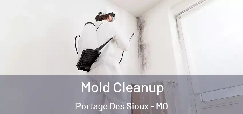  Mold Cleanup Portage Des Sioux - MO