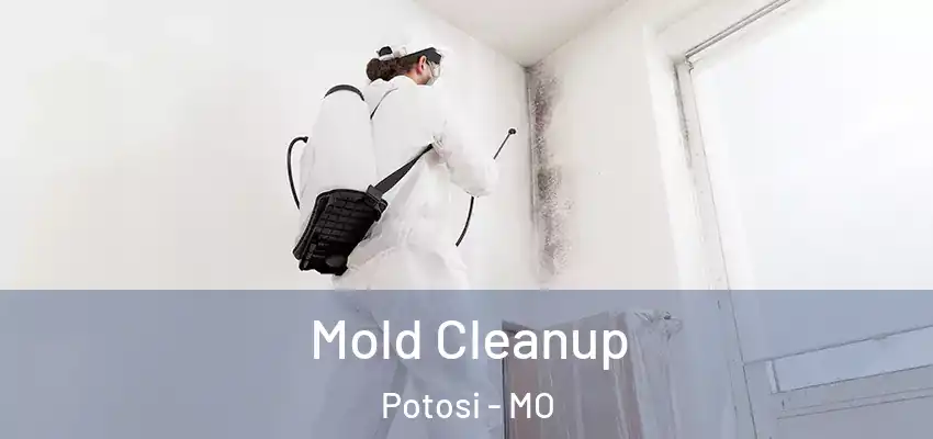  Mold Cleanup Potosi - MO