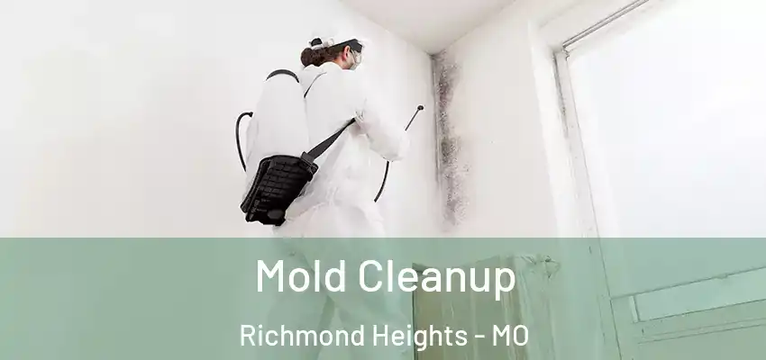  Mold Cleanup Richmond Heights - MO