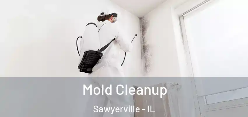  Mold Cleanup Sawyerville - IL