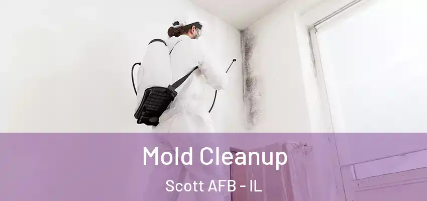  Mold Cleanup Scott AFB - IL