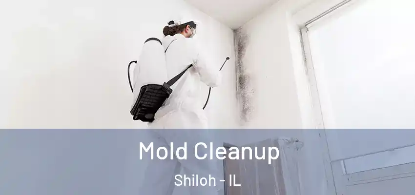 Mold Cleanup Shiloh - IL