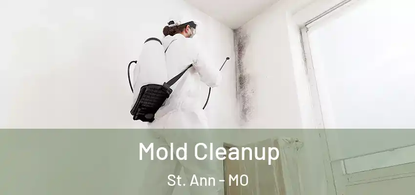  Mold Cleanup St. Ann - MO