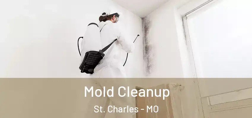  Mold Cleanup St. Charles - MO