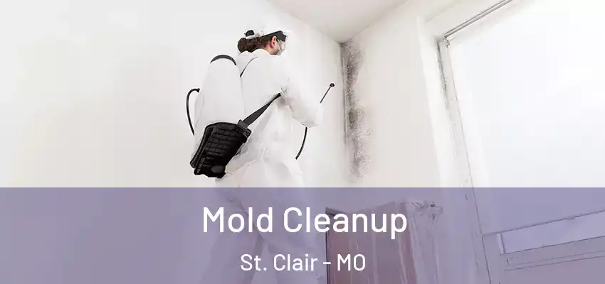 Mold Cleanup St. Clair - MO