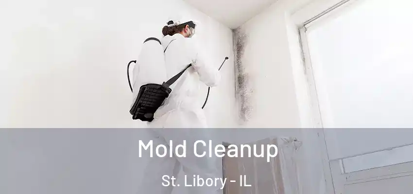  Mold Cleanup St. Libory - IL