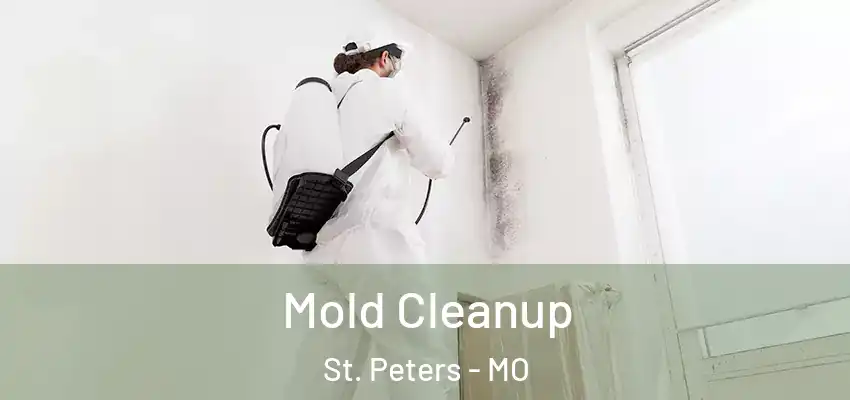 Mold Cleanup St. Peters - MO