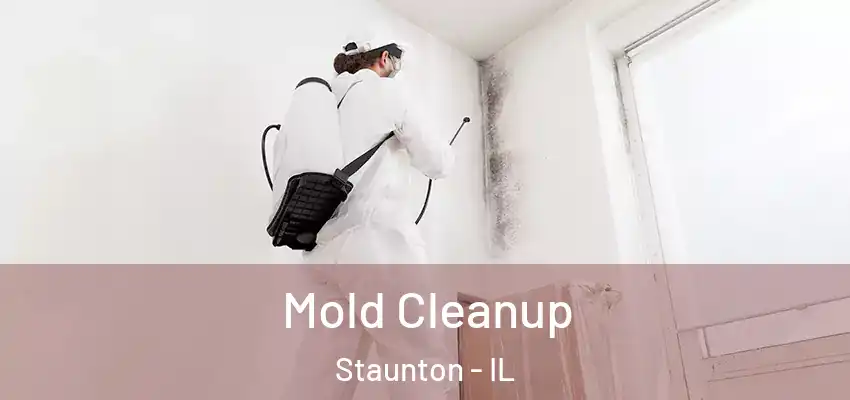  Mold Cleanup Staunton - IL