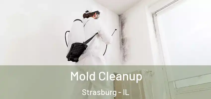 Mold Cleanup Strasburg - IL
