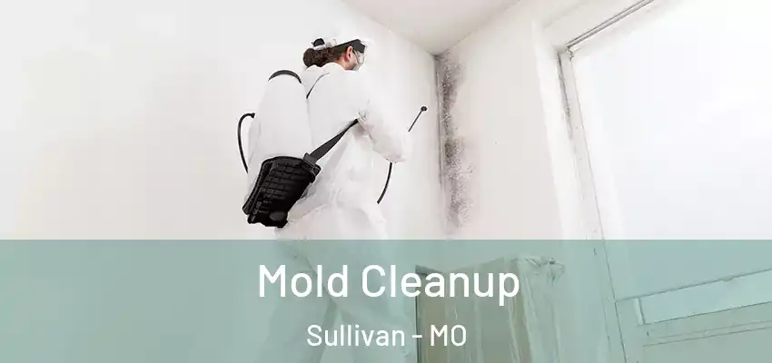 Mold Cleanup Sullivan - MO