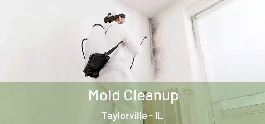  Mold Cleanup Taylorville - IL