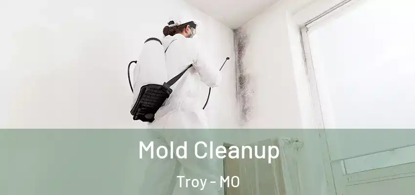 Mold Cleanup Troy - MO