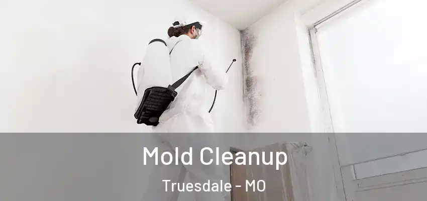  Mold Cleanup Truesdale - MO