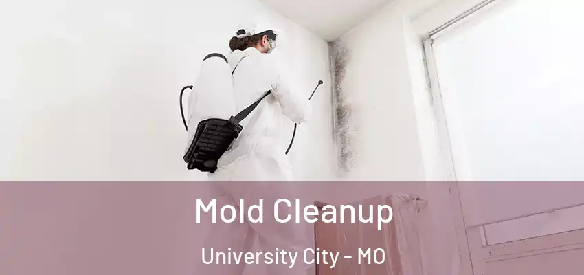  Mold Cleanup University City - MO