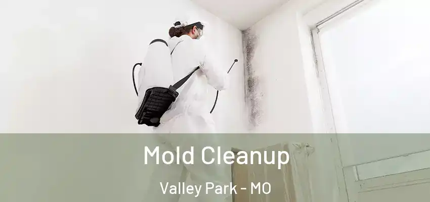 Mold Cleanup Valley Park - MO