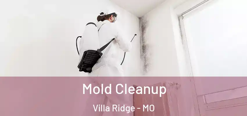  Mold Cleanup Villa Ridge - MO