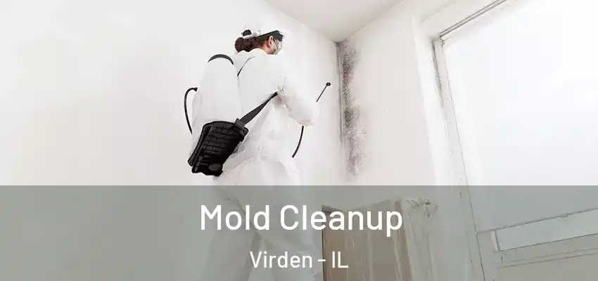  Mold Cleanup Virden - IL