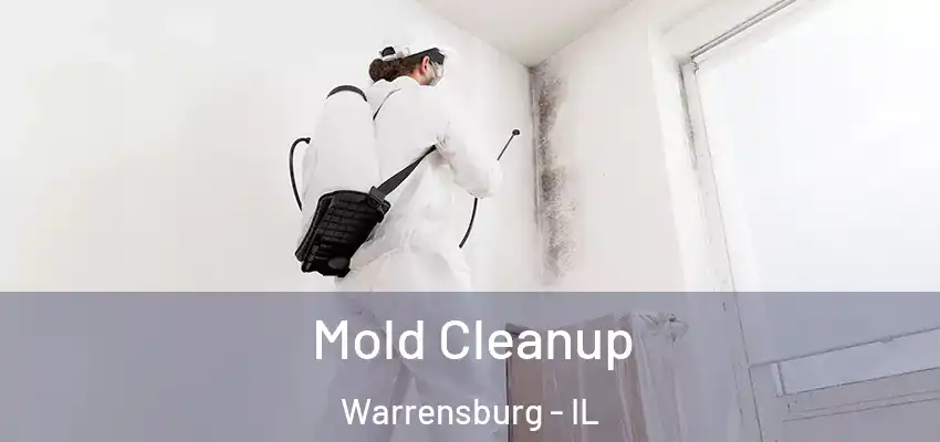 Mold Cleanup Warrensburg - IL