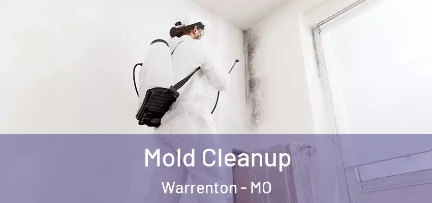 Mold Cleanup Warrenton - MO