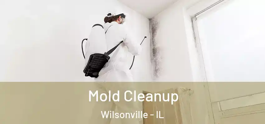  Mold Cleanup Wilsonville - IL