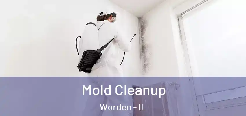  Mold Cleanup Worden - IL
