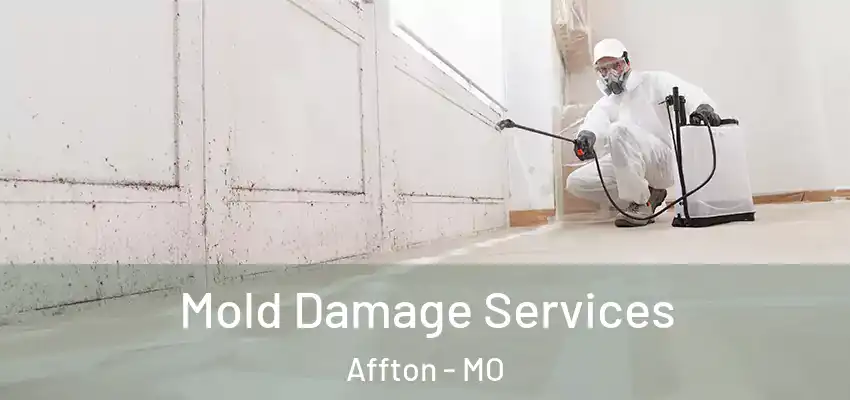  Mold Damage Services Affton - MO
